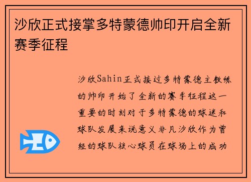 沙欣正式接掌多特蒙德帅印开启全新赛季征程